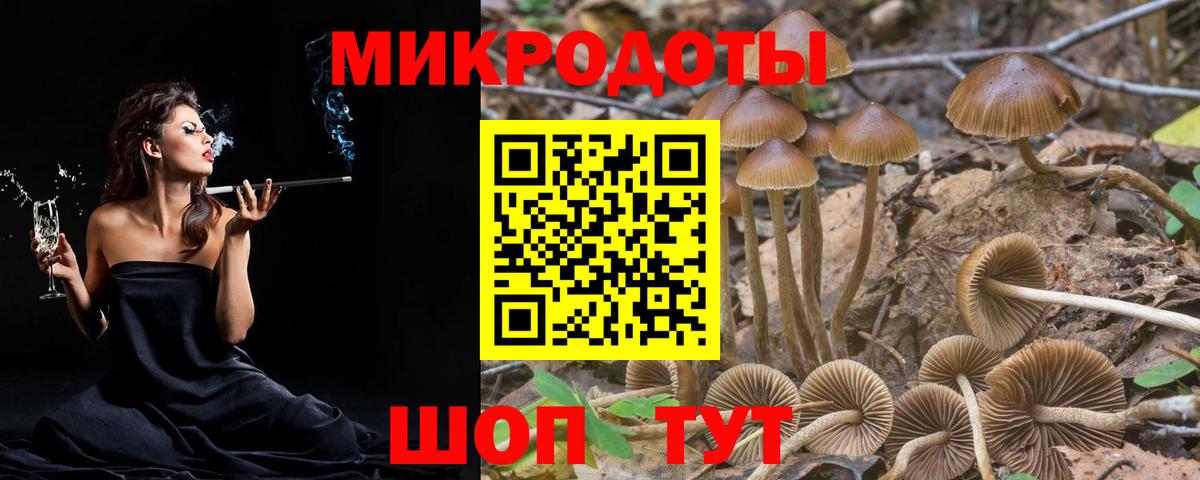 Псилоцибиновые грибы MAGIC MUSHROOMS  Вход с VPN  Сухой Лог  Галлюциногенные грибы прущие грибы 