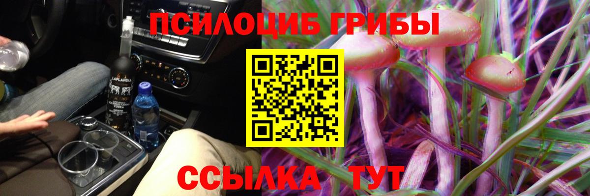 Галлюциногенные грибы Magic Shrooms Сухой Лог