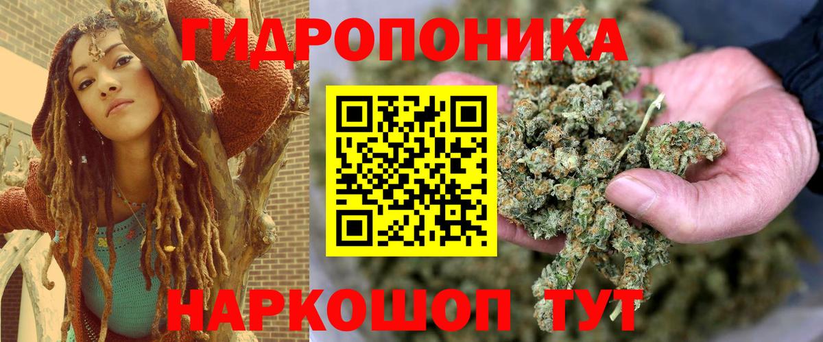Сухой Лог  Бошки Шишки гибрид  Вход с VPN  Канабис Amnesia 